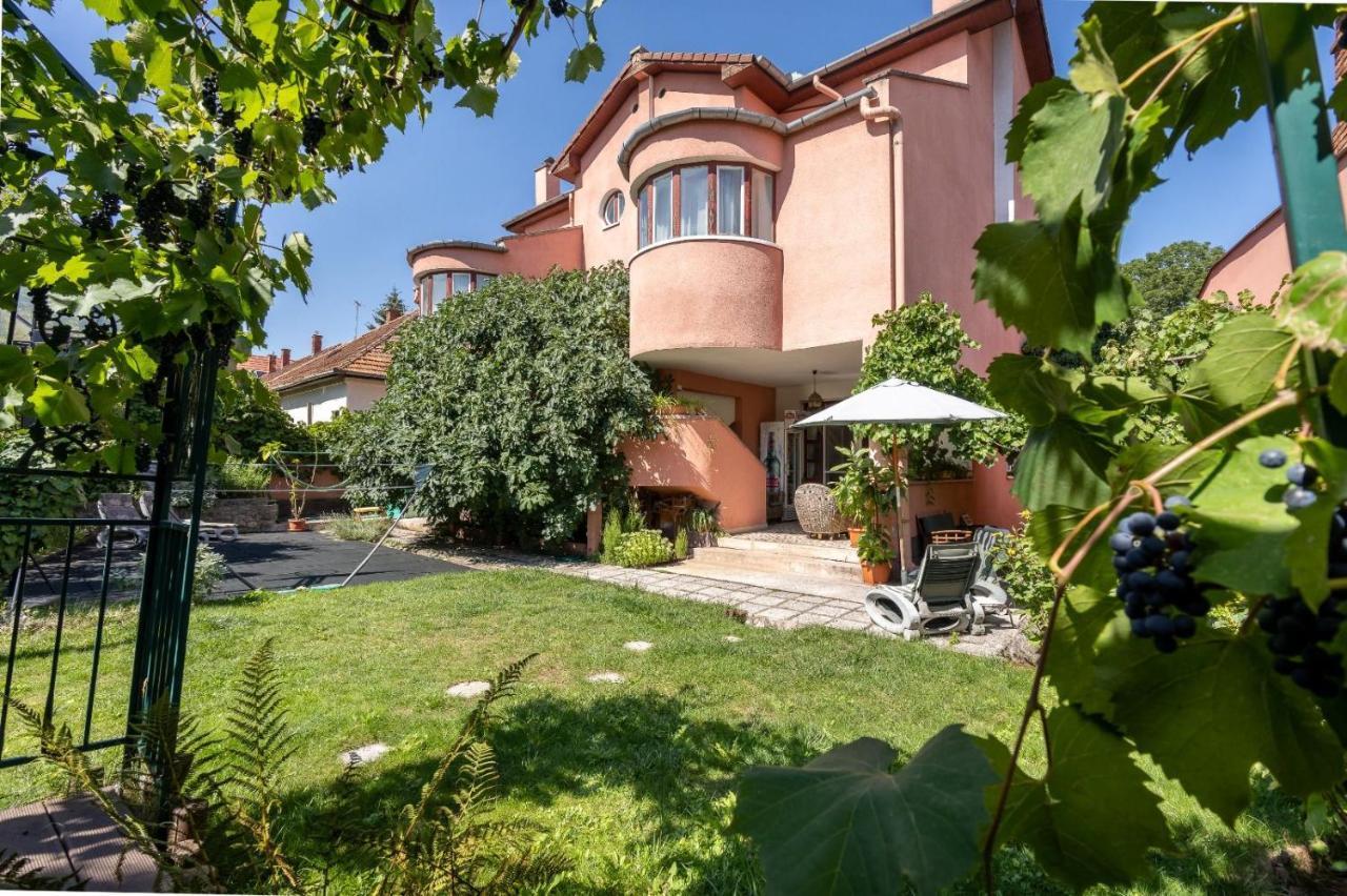 Villa-Hotel Escala كلوج-نابوكا المظهر الخارجي الصورة